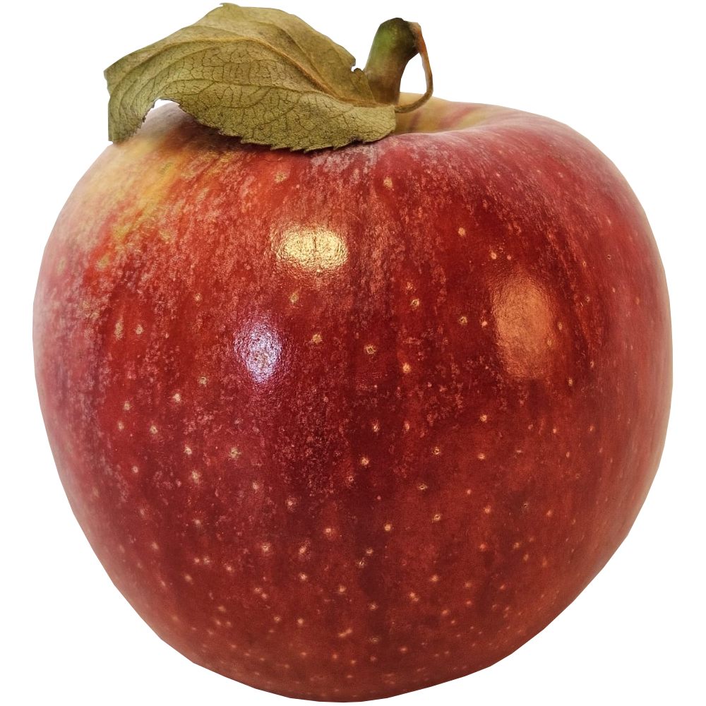 Red apple