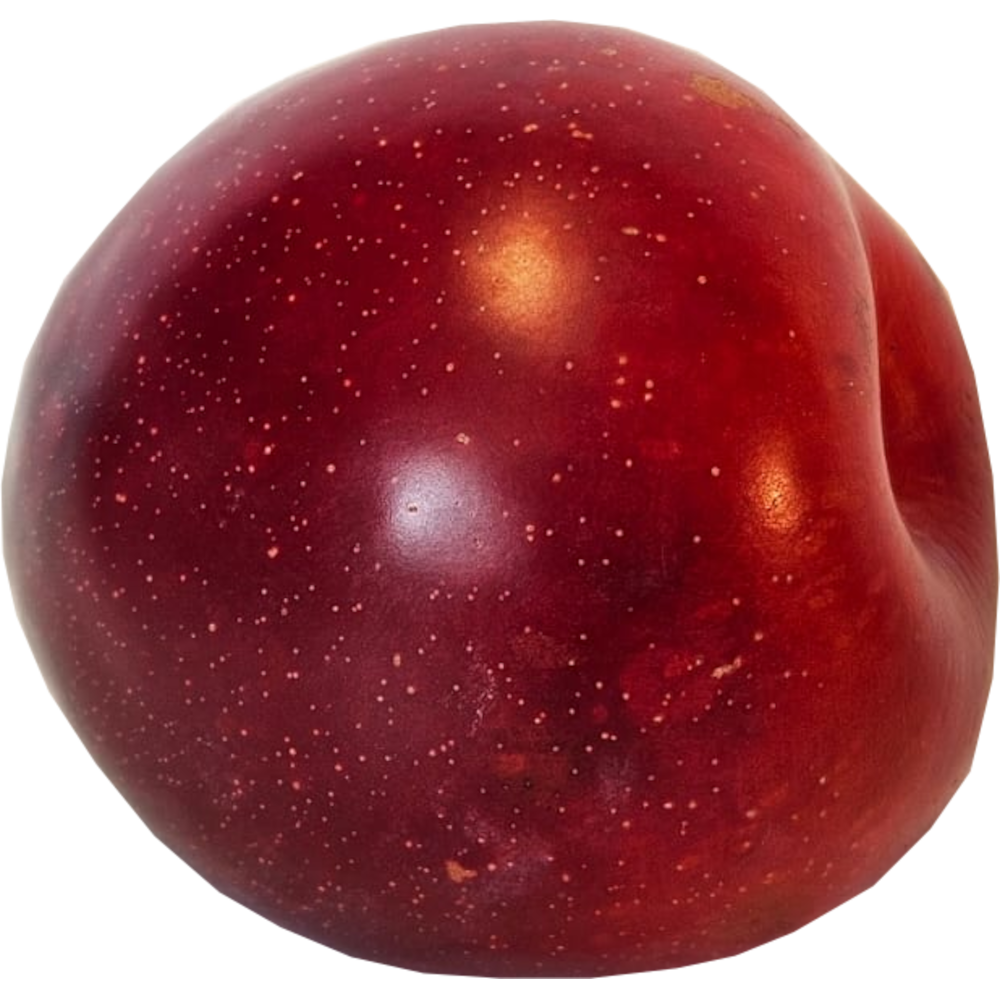 Plum