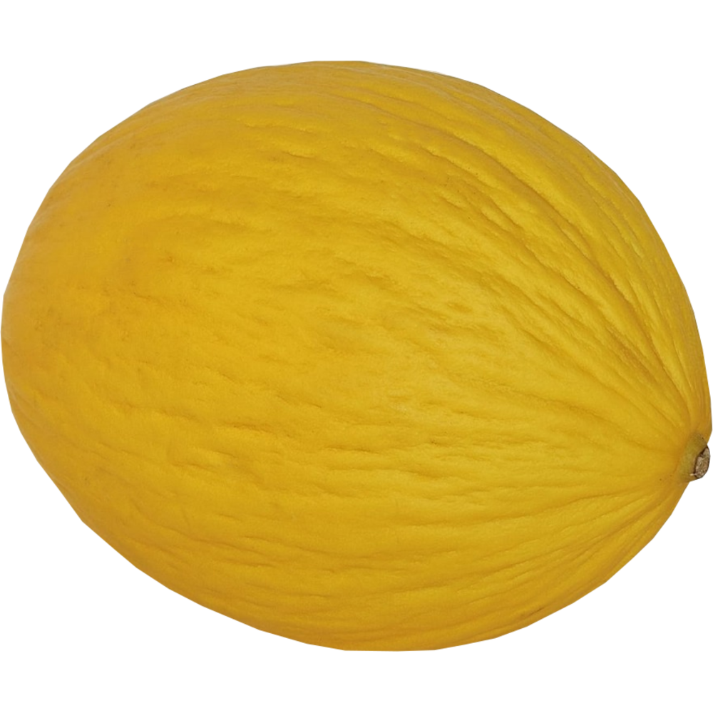 Honeydew melon